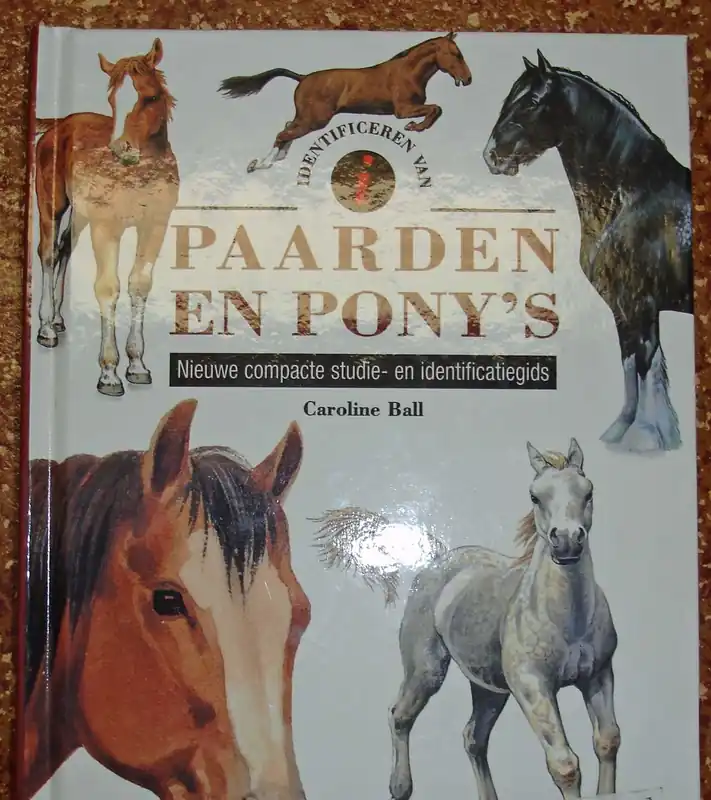 Direct Beschikbaar Identificeren van paarden en pony's - C. Ball
