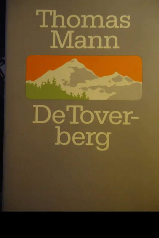 Bestel Nu De Toverberg - Thomas Mann