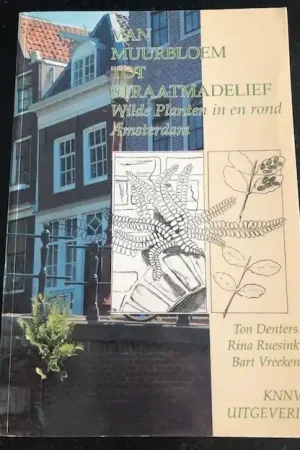 Van muurbloem tot straatmadelief - Denters Nieuw