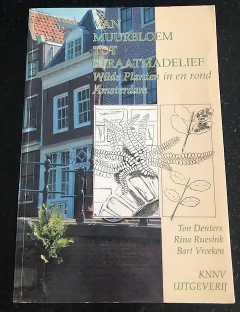 Van muurbloem tot straatmadelief - Denters Nieuw