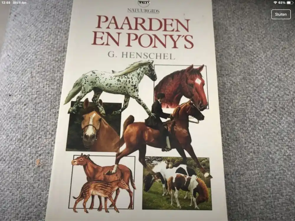 Finale Uitverkoop Paarden en pony s - Henschel