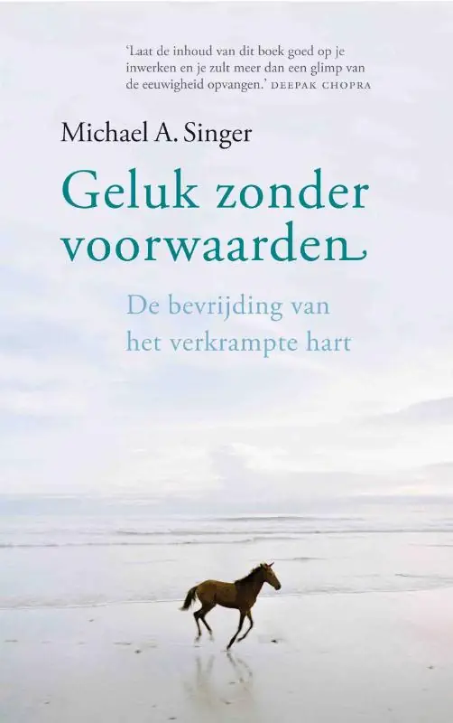 Koopje Geluk zonder voorwaarden - Michael Singer
