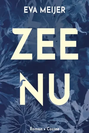 Zee nu - Eva Meijer Koopje