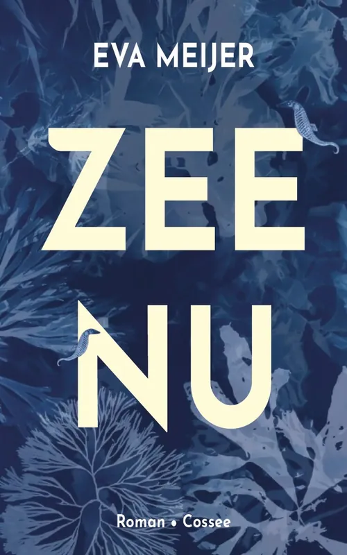 Zee nu - Eva Meijer Koopje
