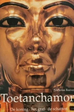 Voordeelprijs Toetanchamon - Nicholas Reeves