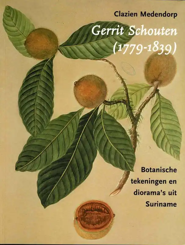 Gerrit Schouten (1779-1839) - Clazien Medendorp Weekendaanbieding