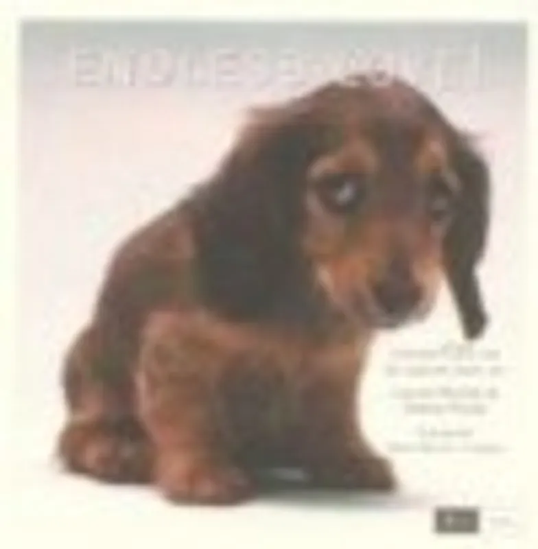 Endless love! - LIONEL RICHIE Lage Kosten