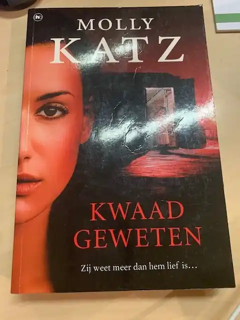 Kwaad Geweten - Molly Katz Laatste Versie