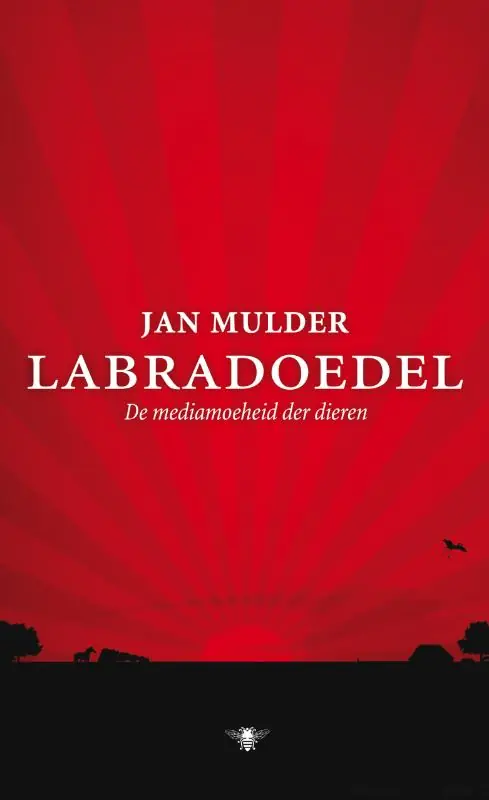 Labradoedel - Jan Mulder Hoge Kwaliteit