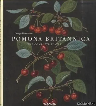 Koop Vandaag POMONICA BRITANNICA - U. PELLGRU-GAGEL