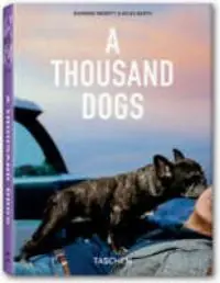 1000 Dogs - Merrit Seizoensaanbieding