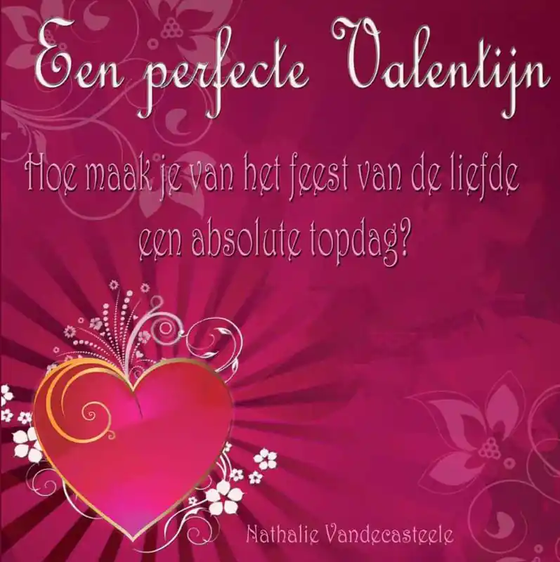 Een perfecte Valentijn - Nathalie Vandecasteele Beperkte Voorraad
