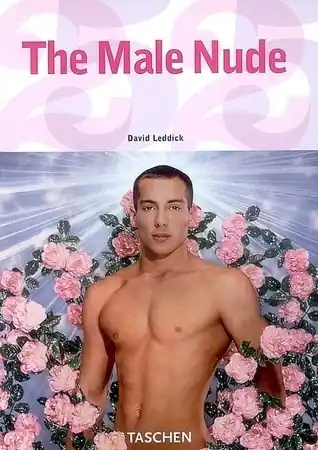 Actieprijs The male nude - David Leddick