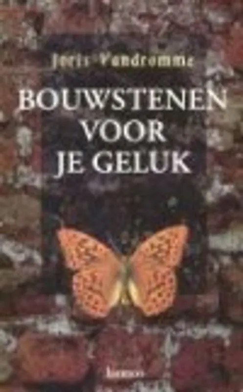 Koop Vandaag Bouwstenen voor je geluk - Joris Vandromme