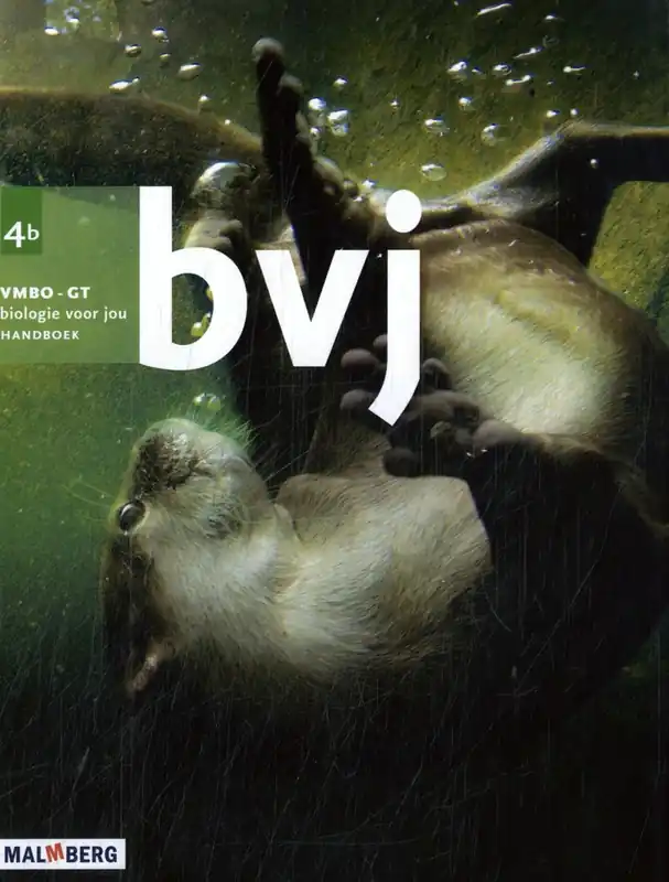 Handboek B - A. Bos Must-Have