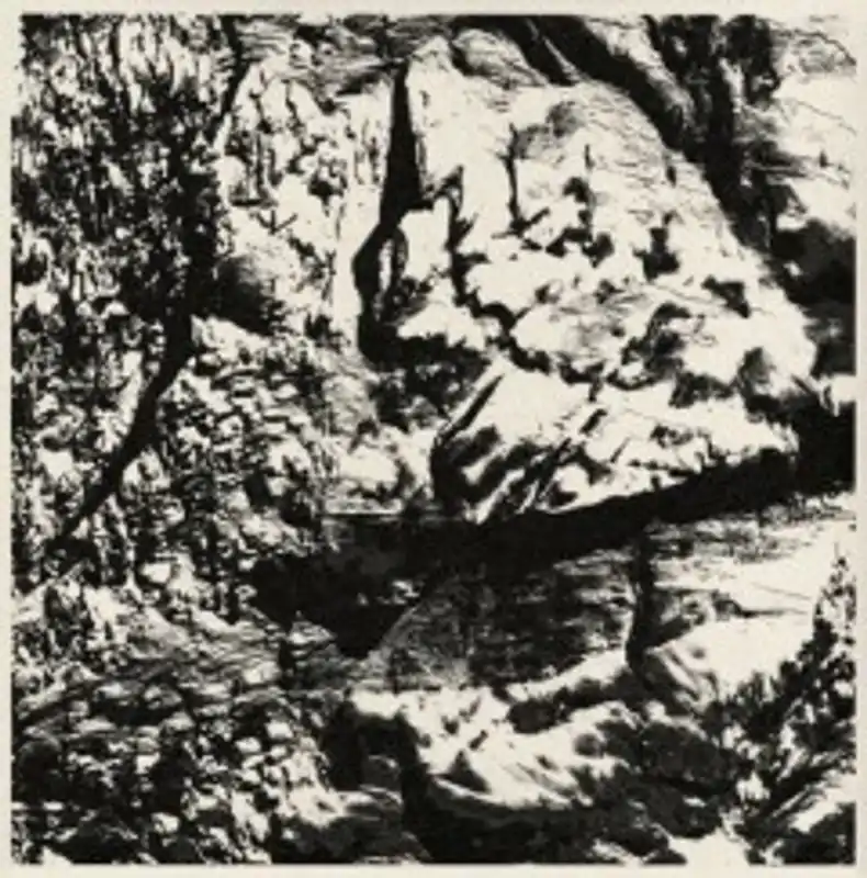 Michel Comte: Light - Michel Comte, Michel Laatste Kans