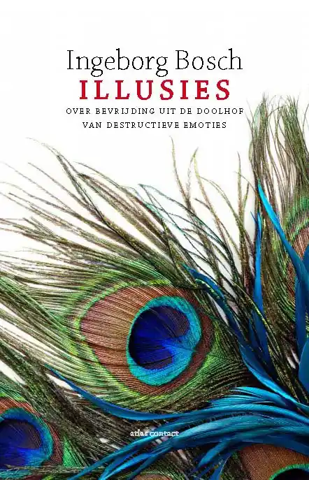 Laatste Versie Illusies - Ingeborg Bosch