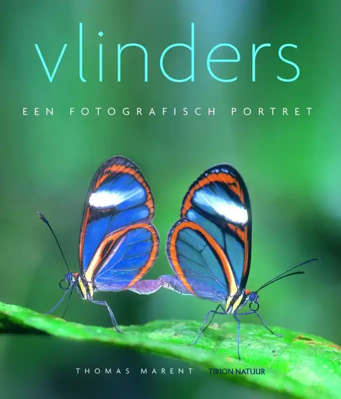 Nu Kopen Vlinders - T. Marent; B. Morgan