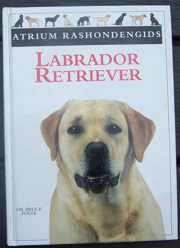 Labrador Retriever - B. Fogle Beperkt Aanbod