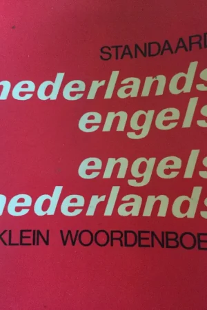 Standaard nederlands engels engels nederlands klein woordenboek - Onbekende auteur Alleen Vandaag