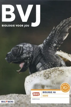 4A havo - Bos Laatste Kans