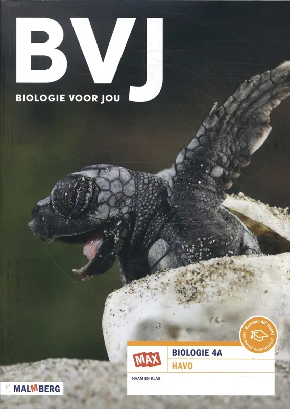 4A havo - Bos Laatste Kans