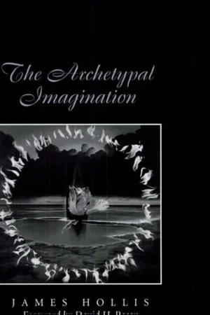 The Archetypal Imagination - James Hollis Actieprijs