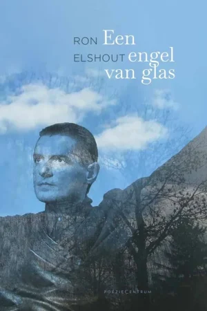 Voordeelprijs Een engel van glas - Ron Elshout