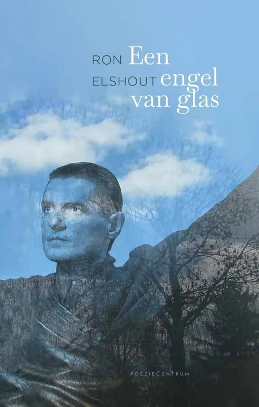 Voordeelprijs Een engel van glas - Ron Elshout