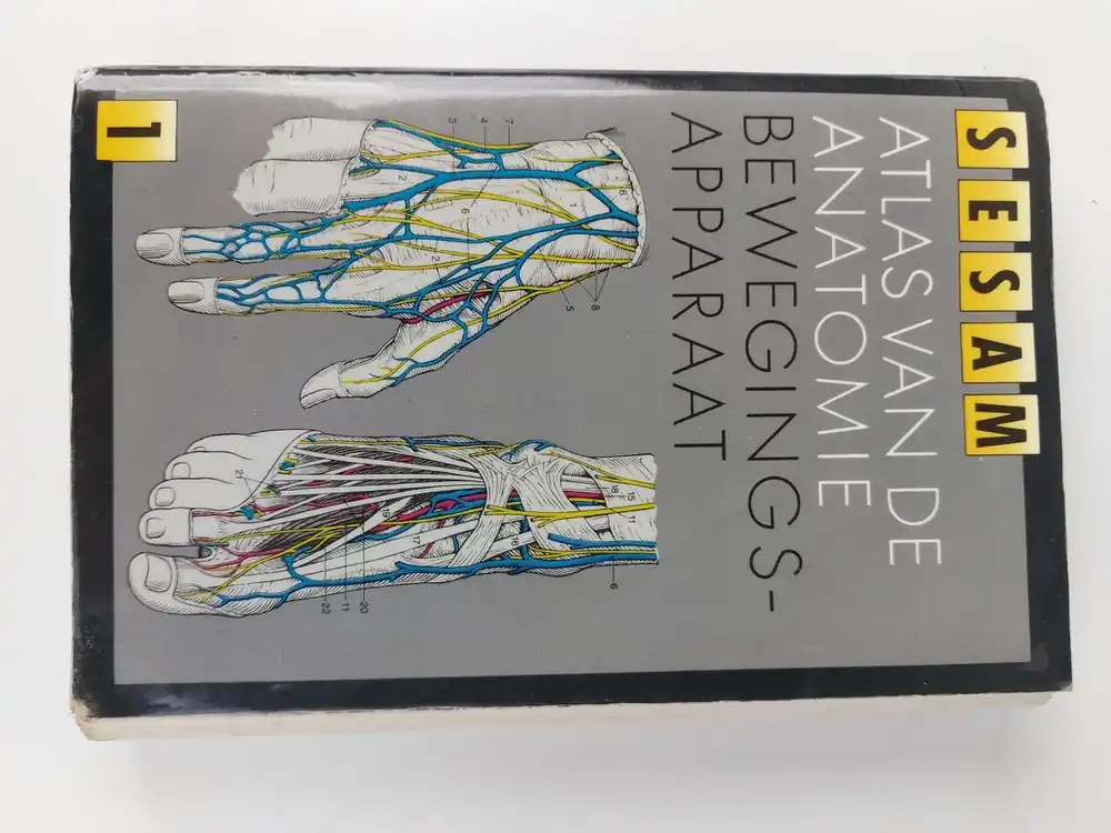 2 Inwendige Organen Sesam Atlas van de Anatomie 1 - Bewegingsapparaat - Werner Platzer Gecertificeerd