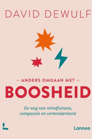 Anders omgaan met boosheid - David Dewulf Betaalbaar