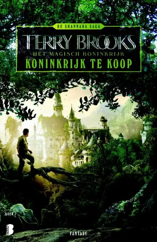 Express Levering Koninkrijk te koop - Terry Brooks