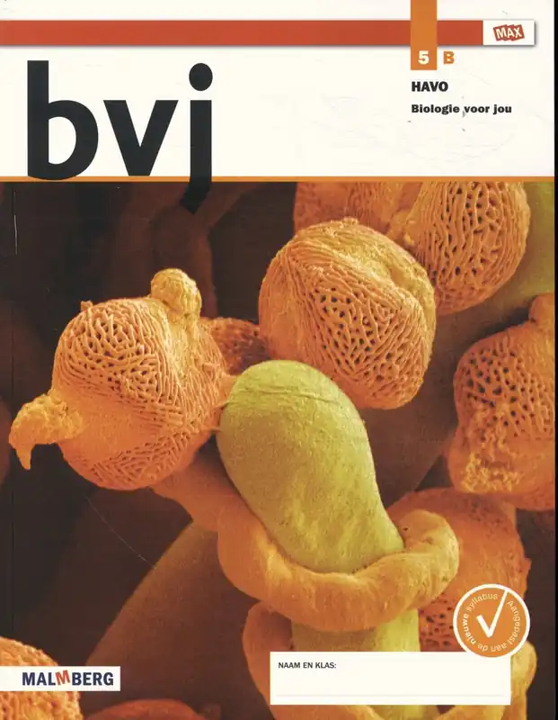 Shop Nu Leeropdrachtenboek B - Bos