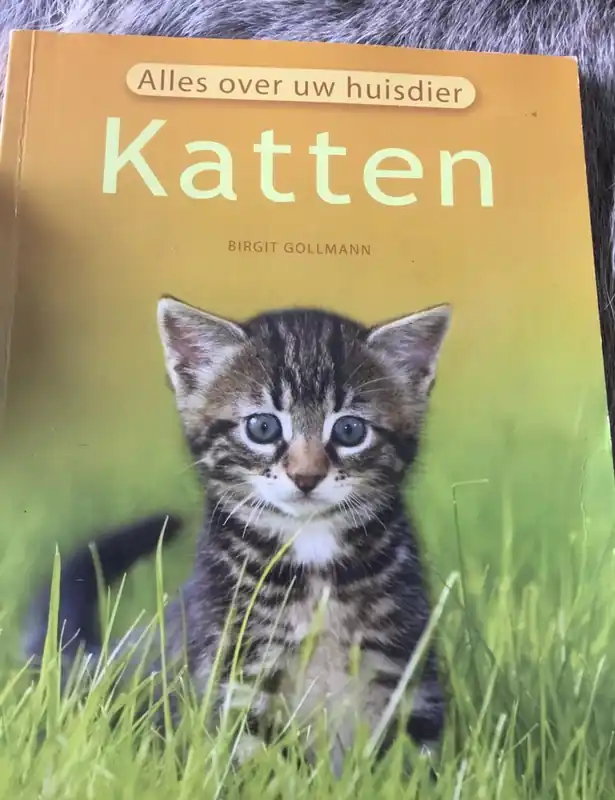 Hete Deal KATTEN ALLES OVER UW HUISDIER - Birgit Gollmann