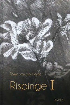 Veilige Betaling I - Fokke van der Heide