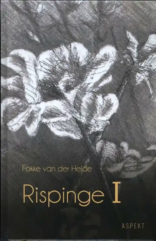 Veilige Betaling I - Fokke van der Heide