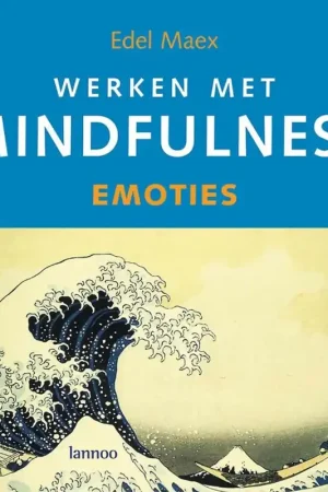 Werken met mindfulness - Edel Maex Voordeelprijs