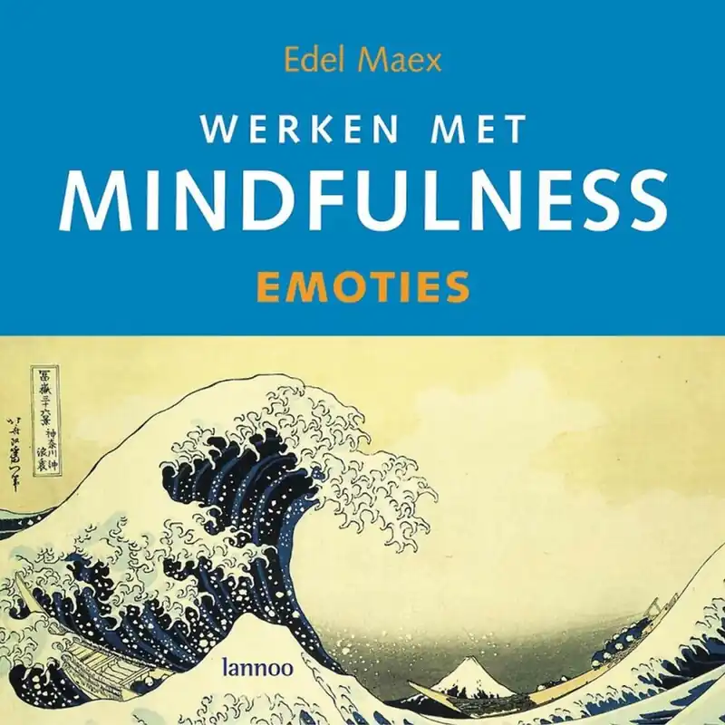 Werken met mindfulness - Edel Maex Voordeelprijs