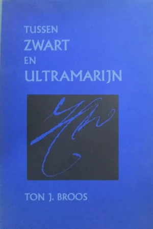 Tussen zwart en ultramarijn. De levens van schilders beschreven door Jacob Campo Weyerman (1677-1747) - Ton J. Broos Actieprijs