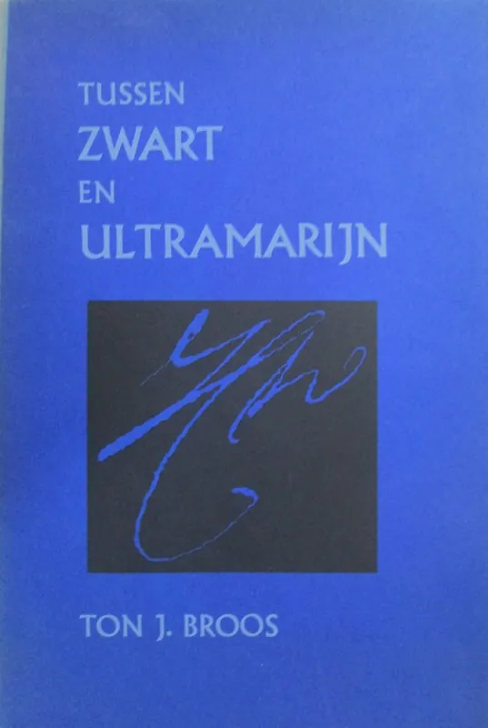 Tussen zwart en ultramarijn. De levens van schilders beschreven door Jacob Campo Weyerman (1677-1747) - Ton J. Broos Actieprijs