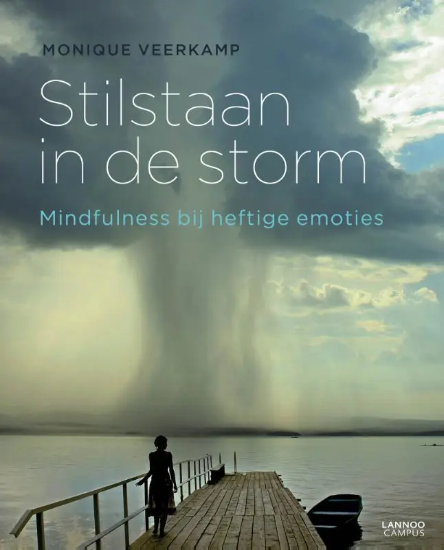 Exclusieve Aanbieding Stilstaan in de storm - Monique Veerkamp