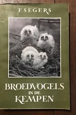 Veilige Betaling broedvogels in de kempen - F.Segers