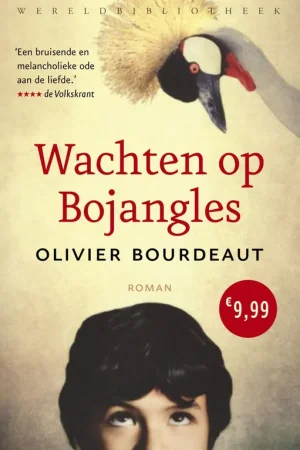 Wachten op Bojangles - Olivier Bourdeaut Nu Kopen