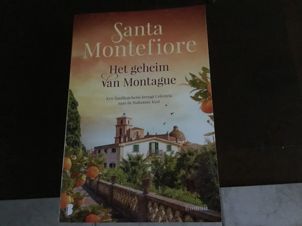 Het geheim van Montague - Santa Montefiore Koopje