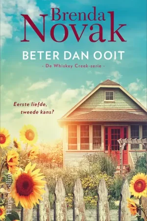 Veilige Betaling Beter dan ooit - Brenda Novak