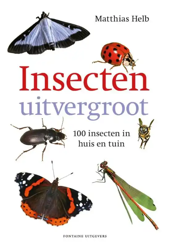 Insecten uitvergroot - Matthias Helb Populair