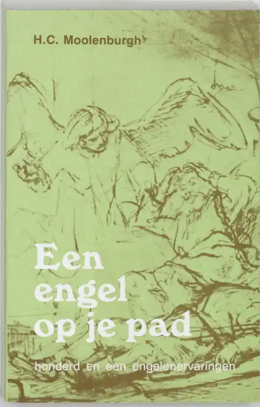 Veilige Betaling Een engel op je pad - H.C. Moolenburgh