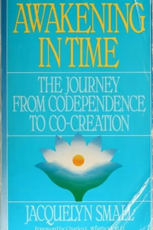 Awakening in Time The Journey from Codependence to Co-creation - Jacquelyn Small Rechtstreeks Van De Fabrikant