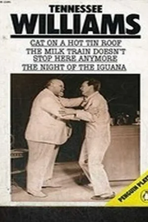 Aanbieding Cat on a Hot Tin Roof - Tennessee Williams