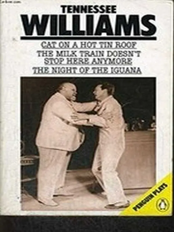 Aanbieding Cat on a Hot Tin Roof - Tennessee Williams
